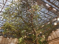 -乐蓬马歇百货公司(Rive Gauche)