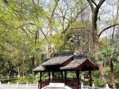 -红梅公园