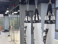 -拳力汇散打搏击泰拳俱乐部(绿地缤纷城店)