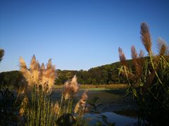 -上海市保健医疗中心