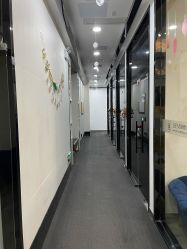 -DEM缔怡美科技美容