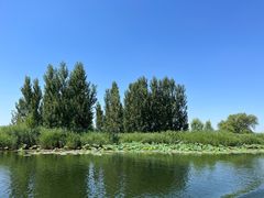 -白洋淀风景区