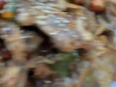 -萍姨抻面馆·鸡架冒菜(清湖店)