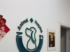 -中农国际动物医院24小时·猫科·骨科·急重症中心