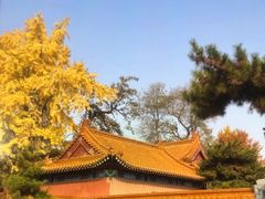 -戏马台景区