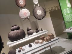 -中国茶叶博物馆(双峰馆区)