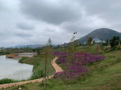 -华侨城阳宗海海景温泉