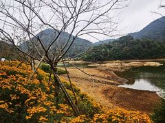 -广州市石门国家森林公园
