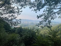 -大奇山国家森林公园