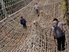 -呀路古热带植物园