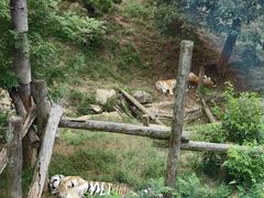 -大连森林动物园