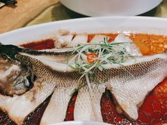清蒸鲈鱼-大鸭梨(天通西苑店)