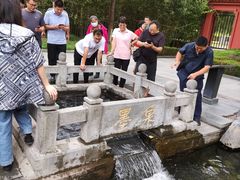 -百脉泉景区