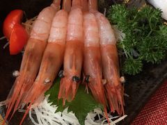 -春草居酒屋·晴子の店