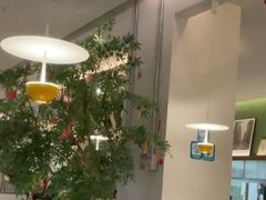 -Aqua Oasis 水天堂(太湖中心mall店)