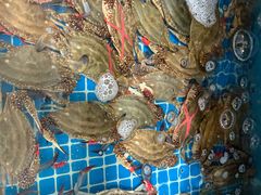 -宾朋海鲜饭庄(兴海路店)