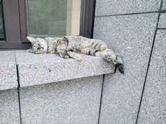 -四道口水产市场