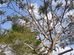 -亚龙湾国际玫瑰谷