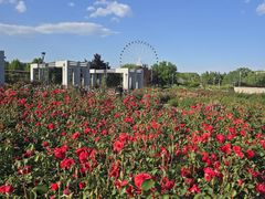 -石家庄市植物园