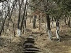 -高尔山公园