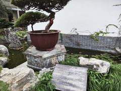 -水绘园