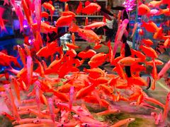 -三旗百汇商品城