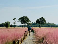 -汉长安城未央宫国家考古遗址公园