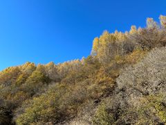 -玉渡山自然风景区