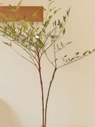 -FUMEIHUI·科技美肤·美体SPA