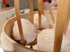 -金鼎轩(亚运村店)