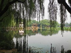 -西湖外事游船(花港观鱼码头)