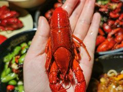 -一棠龙虾•王牌虾球(恒隆广场店)