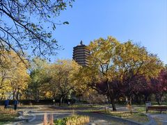 -玲珑塔公园