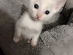 -汤里来温泉