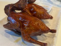 -侨美·唐荔园·40年地道粤菜