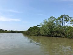 -东寨港红树林旅游区