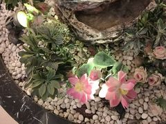 -东方之珠洗浴休闲广场(于家堡店)