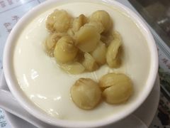 -义顺牛奶公司(新马路老店)