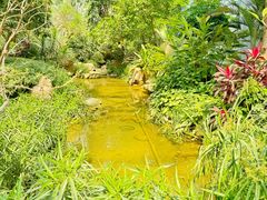 -祥源·阜阳生态乐园