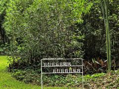 -云溪植物园