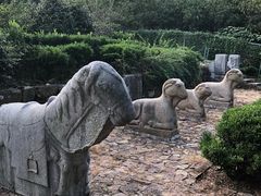 -雨花胜境