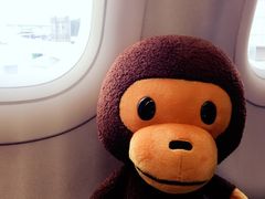 -AAPE BY A BATHING APE(朗豪坊店)