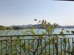 -望湖烤鱼