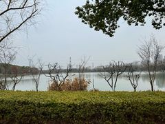 -昆山城市生态森林公园