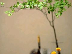 -浦江二号·独栋江景餐厅(滨江大道店)