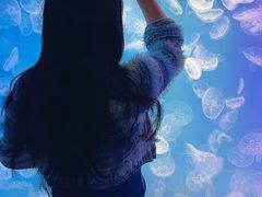 -左海海底世界