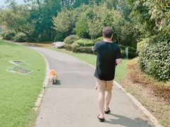 -桃花岛景观公园