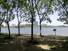 -大兴滨河森林公园