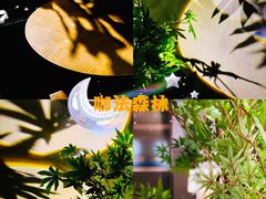 -咖法森林·咖啡  酒吧(天河店)