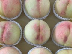 -老袁家蜜桃农场·阳山水蜜桃